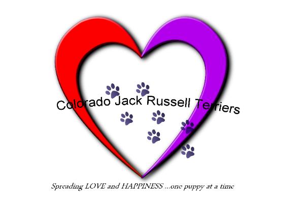 Colorado Jack Russell Terrier business logo